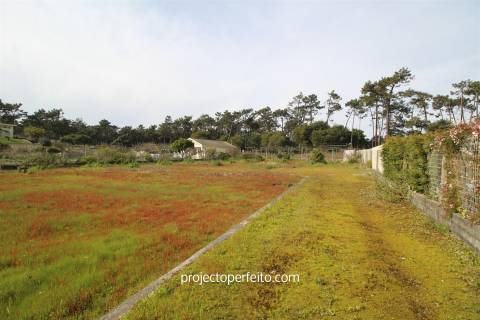 Lote de Terreno  Venda em Ovar, São João, Arada e São Vicente de Pereira Jusã,Ovar