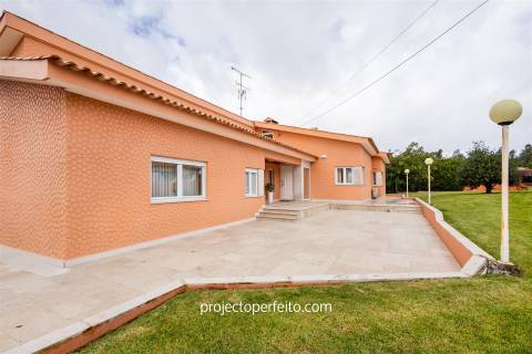 Quintinha T4+1 para venda em Oliveira de Azeméis, inserida em terreno com 9000m2 com piscina.