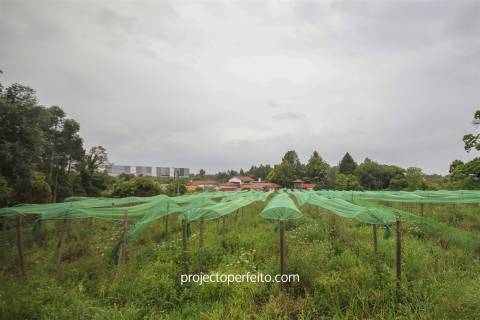 Quintinha T4 Venda em Grijó e Sermonde,Vila Nova de Gaia