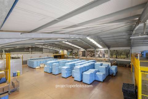 Fábrica/Indústria  Venda em Lourosa,Santa Maria da Feira
