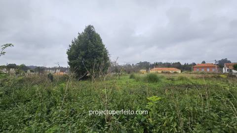 Terreno Rústico  Venda em Grijó e Sermonde,Vila Nova de Gaia