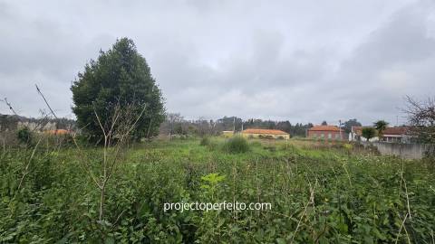Terreno Rústico  Venda em Grijó e Sermonde,Vila Nova de Gaia