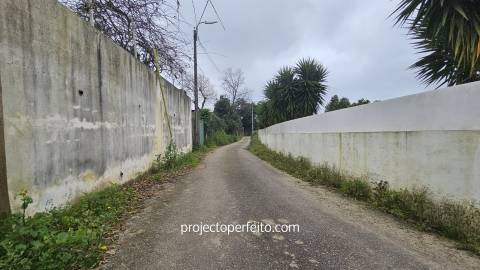 Terreno Rústico  Venda em Grijó e Sermonde,Vila Nova de Gaia