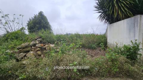 Terreno Rústico  Venda em Grijó e Sermonde,Vila Nova de Gaia