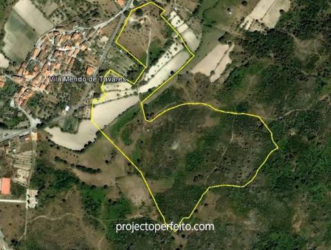 Terreno Rústico  Venda em Mangualde, Mesquitela e Cunha Alta,Mangualde