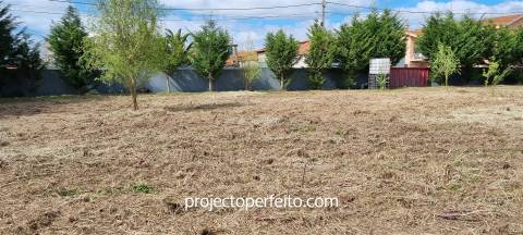 Terreno Para Construção  Venda em Esmoriz,Ovar