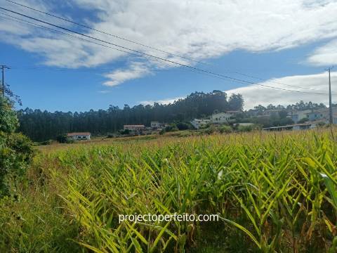 Moradia para Restaurar T2 Venda em Oliveira de Azeméis, Santiago de Riba-Ul, Ul, Macinhata da Seixa e Madail,Oliveira de Azeméis