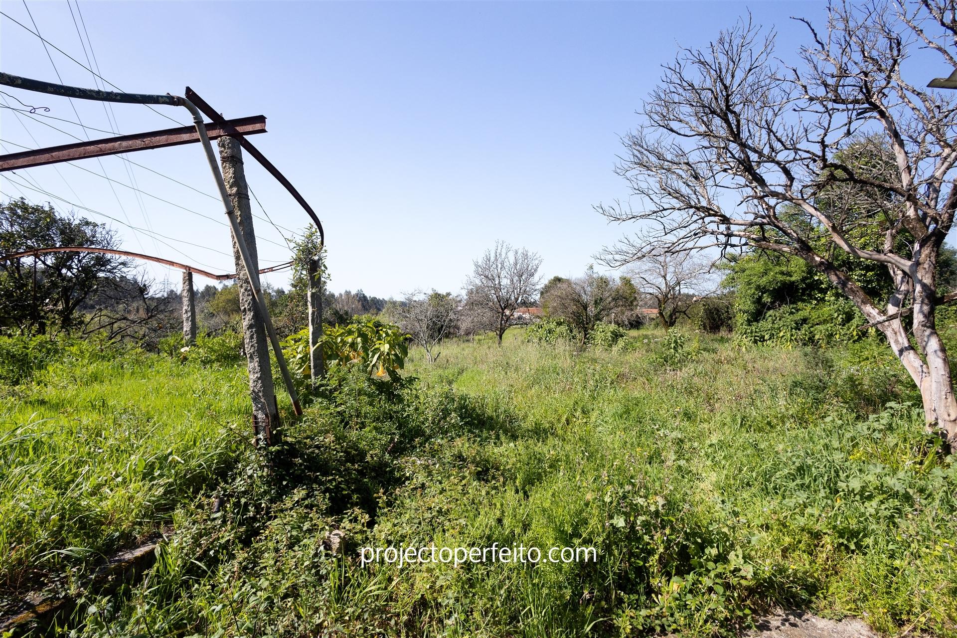 Terreno  Venda em Grijó e Sermonde,Vila Nova de Gaia