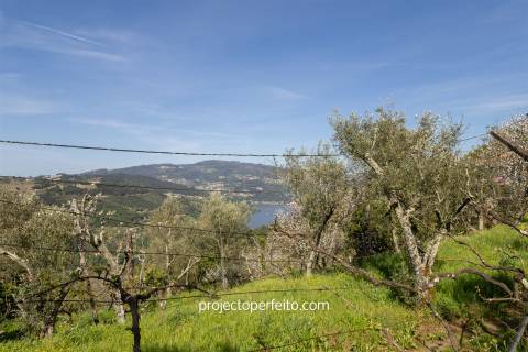 Quintinha T2 Venda em Oliveira do Douro,Cinfães