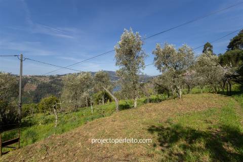 Quintinha T2 Venda em Oliveira do Douro,Cinfães