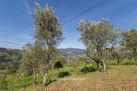 Quintinha T2 Venda em Oliveira do Douro,Cinfães