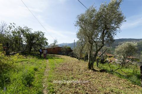 Quintinha T2 Venda em Oliveira do Douro,Cinfães