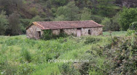 Quinta >=T10 Venda em São Pedro de Castelões,Vale de Cambra