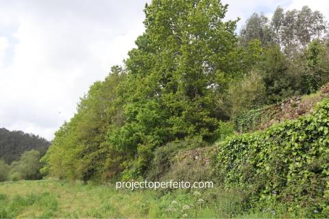 Quinta >=T10 Venda em São Pedro de Castelões,Vale de Cambra