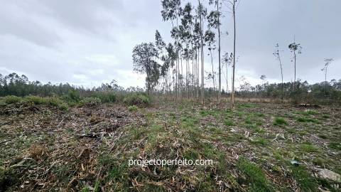 Lote de Terreno  Venda em Ovar, São João, Arada e São Vicente de Pereira Jusã,Ovar
