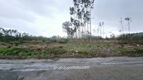 Lote de Terreno  Venda em Ovar, São João, Arada e São Vicente de Pereira Jusã,Ovar