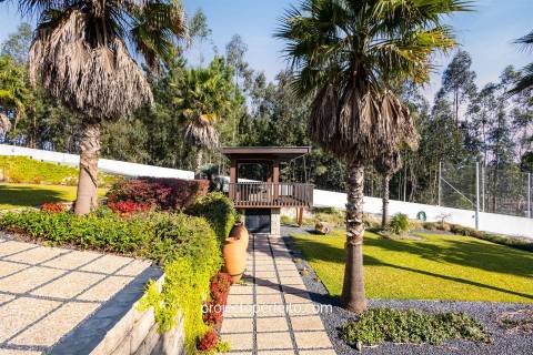 Terreno Para Construção  Venda em Santa Maria da Feira, Travanca, Sanfins e Espargo,Santa Maria da Feira