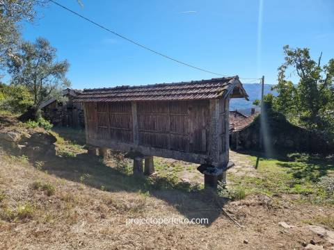 Quinta T5+3 Venda em Arnóia,Celorico de Basto