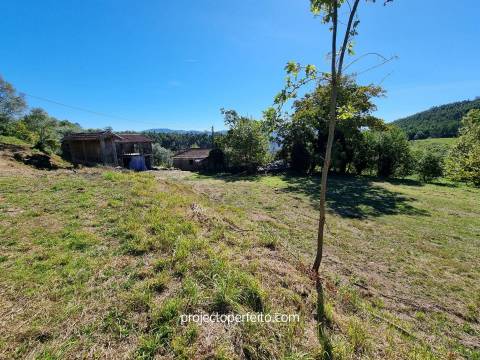 Quinta T5+3 Venda em Arnóia,Celorico de Basto