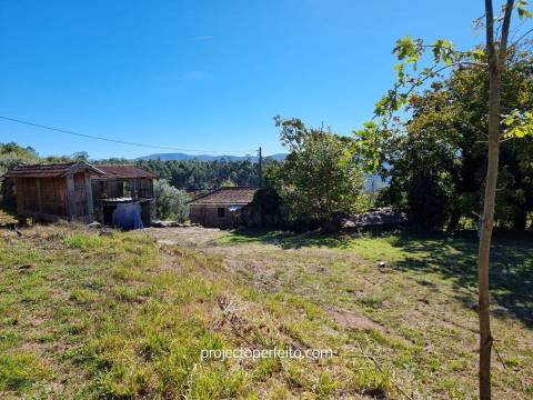 Quinta T5+3 Venda em Arnóia,Celorico de Basto