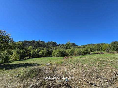 Quinta T5+3 Venda em Arnóia,Celorico de Basto