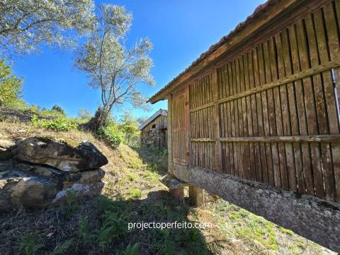 Quinta T5+3 Venda em Arnóia,Celorico de Basto
