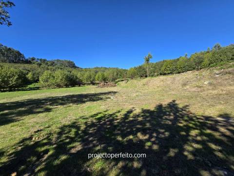 Quinta T5+3 Venda em Arnóia,Celorico de Basto