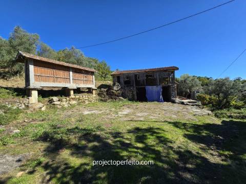 Quinta T5+3 Venda em Arnóia,Celorico de Basto