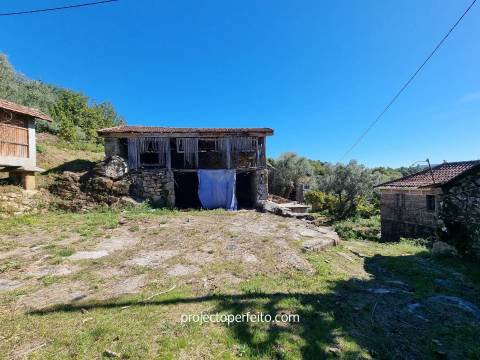 Quinta T5+3 Venda em Arnóia,Celorico de Basto