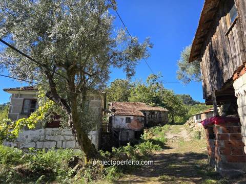 Quinta T5+3 Venda em Arnóia,Celorico de Basto