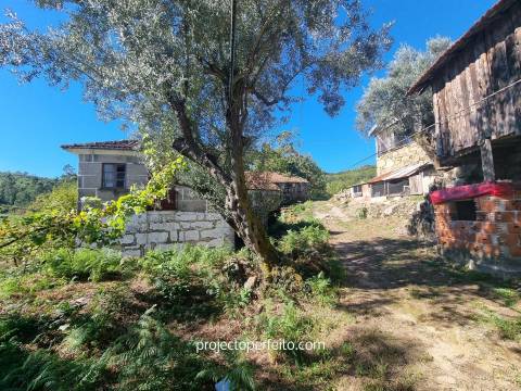 Quinta T5+3 Venda em Arnóia,Celorico de Basto