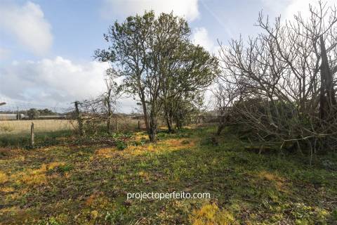 Quintinha T3 Venda em Avanca,Estarreja