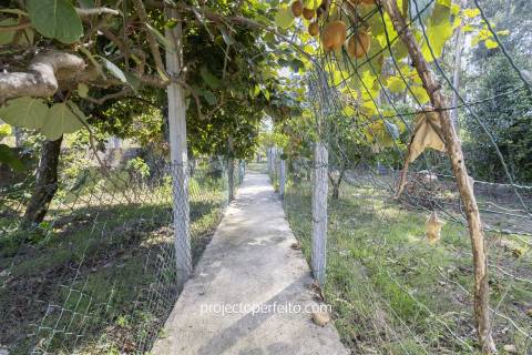 Moradia Isolada T4+1 Venda em Anta e Guetim,Espinho