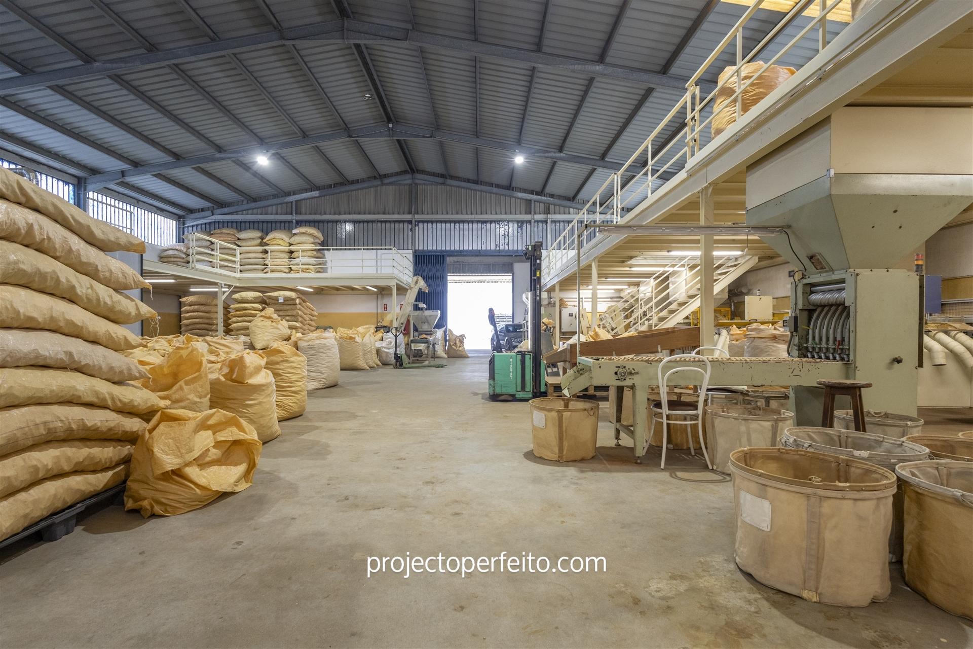 Fábrica/Indústria  Venda em Lourosa,Santa Maria da Feira