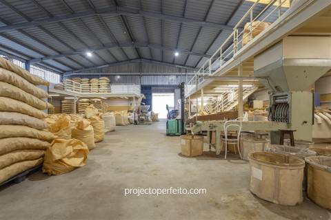 Fábrica/Indústria  Venda em Lourosa,Santa Maria da Feira