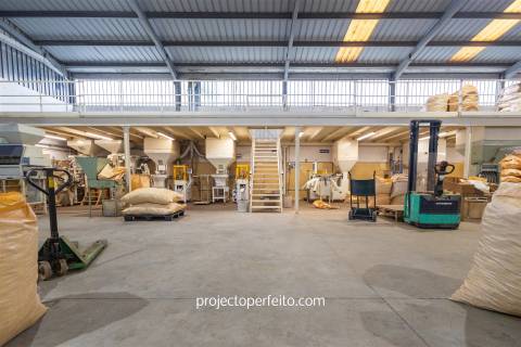 Fábrica/Indústria  Venda em Lourosa,Santa Maria da Feira