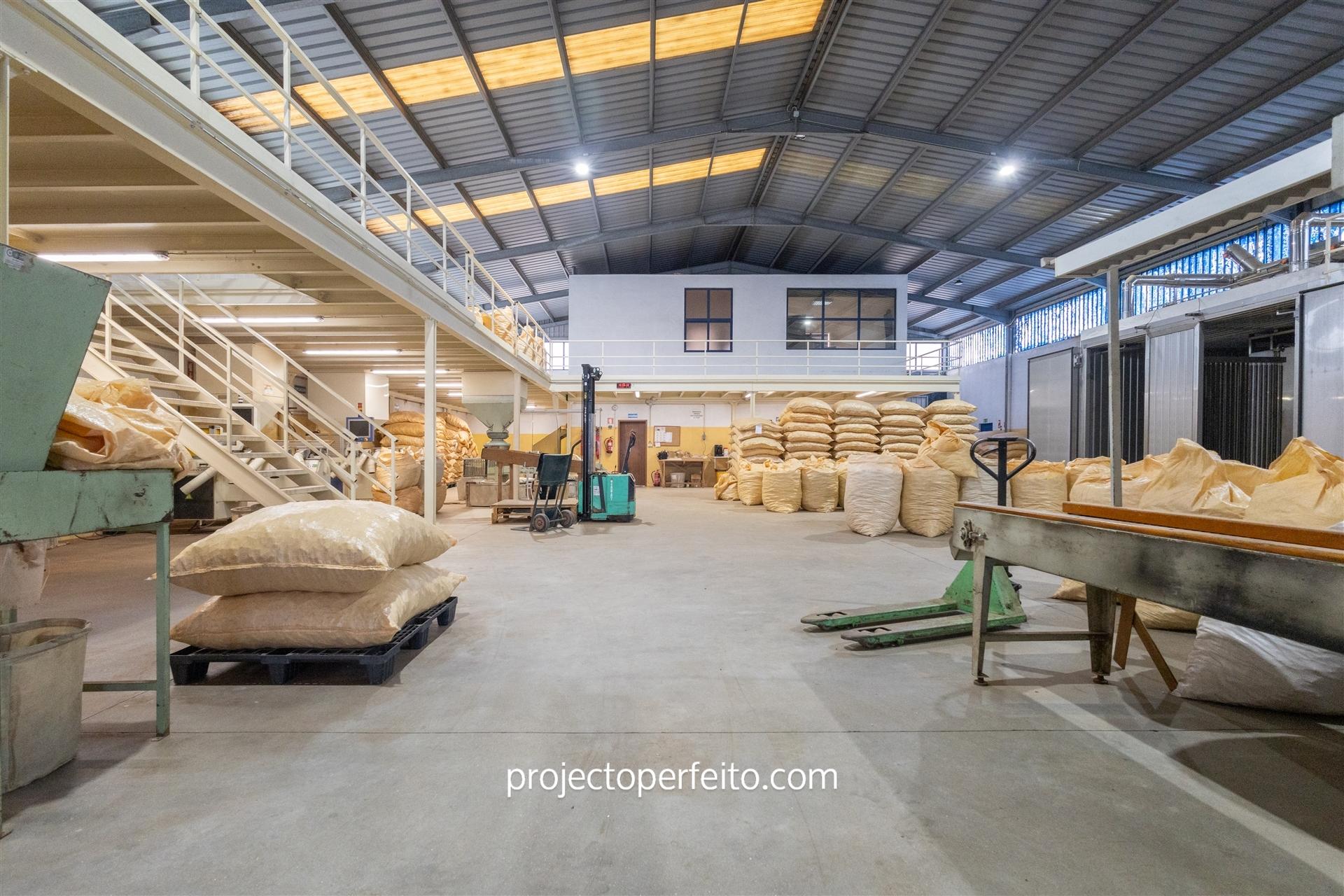 Fábrica/Indústria  Venda em Lourosa,Santa Maria da Feira