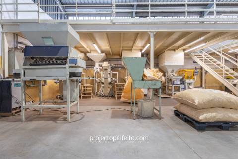 Fábrica/Indústria  Venda em Lourosa,Santa Maria da Feira