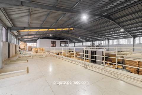 Fábrica/Indústria  Venda em Lourosa,Santa Maria da Feira