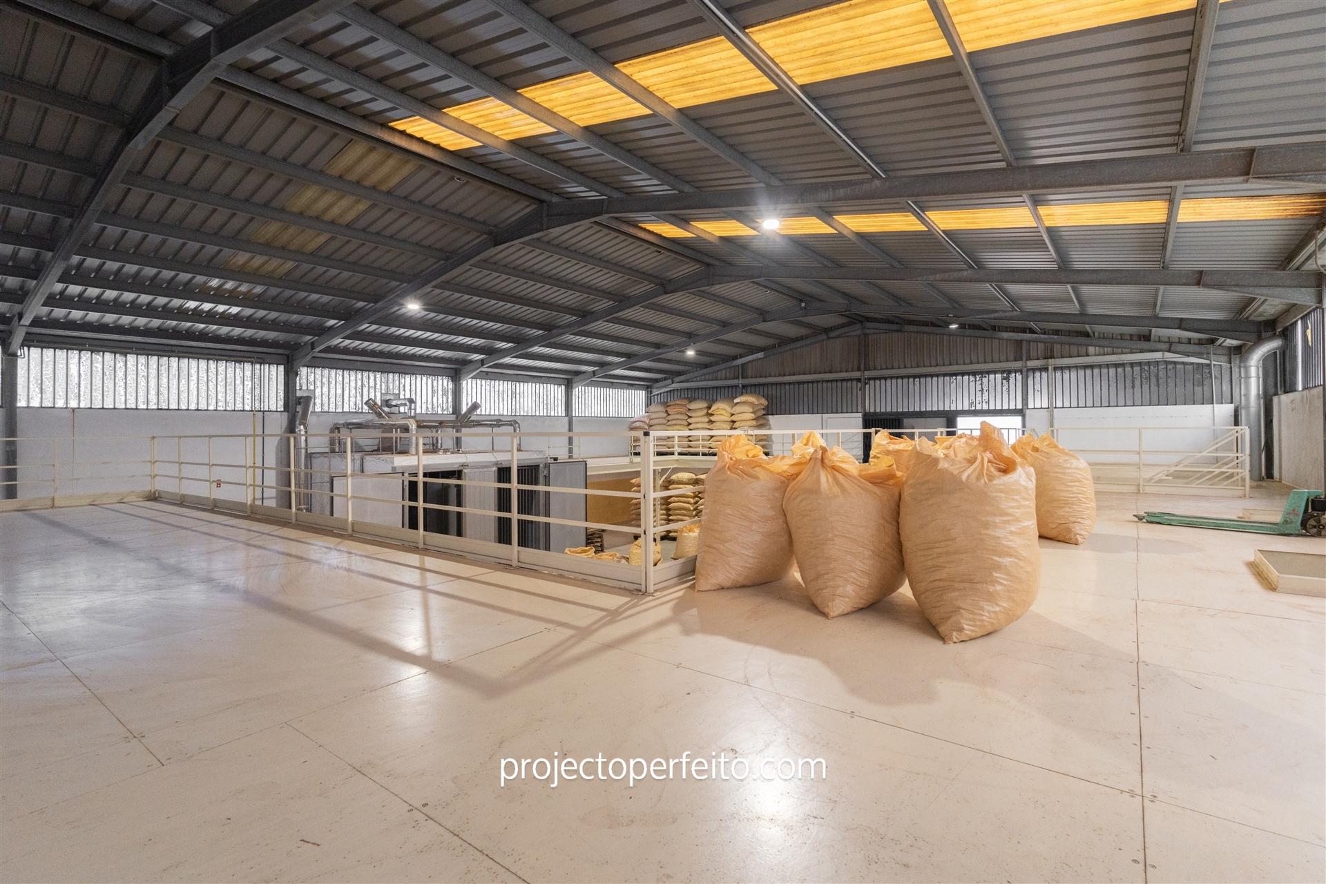 Fábrica/Indústria  Venda em Lourosa,Santa Maria da Feira