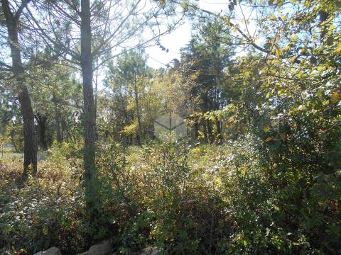 Terreno para construção 1550 m2