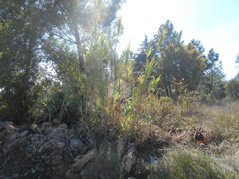 Terreno para construção 1550 m2