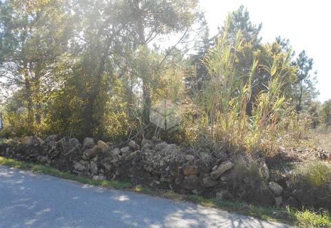 Terreno para construção 1550 m2