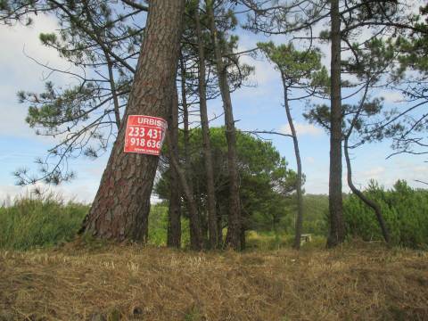 Terreno na Serra da Boa Viagem
