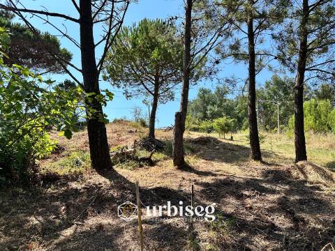 Terreno com excelentes Vistas de Mar e Cidade