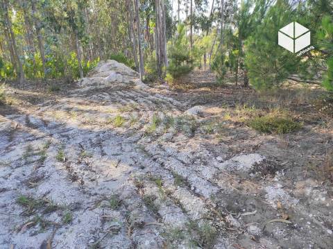 Urbanizável – Terreno com 1930m2