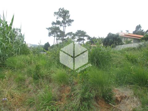 A Melhor Vista da Cidade nos Vais