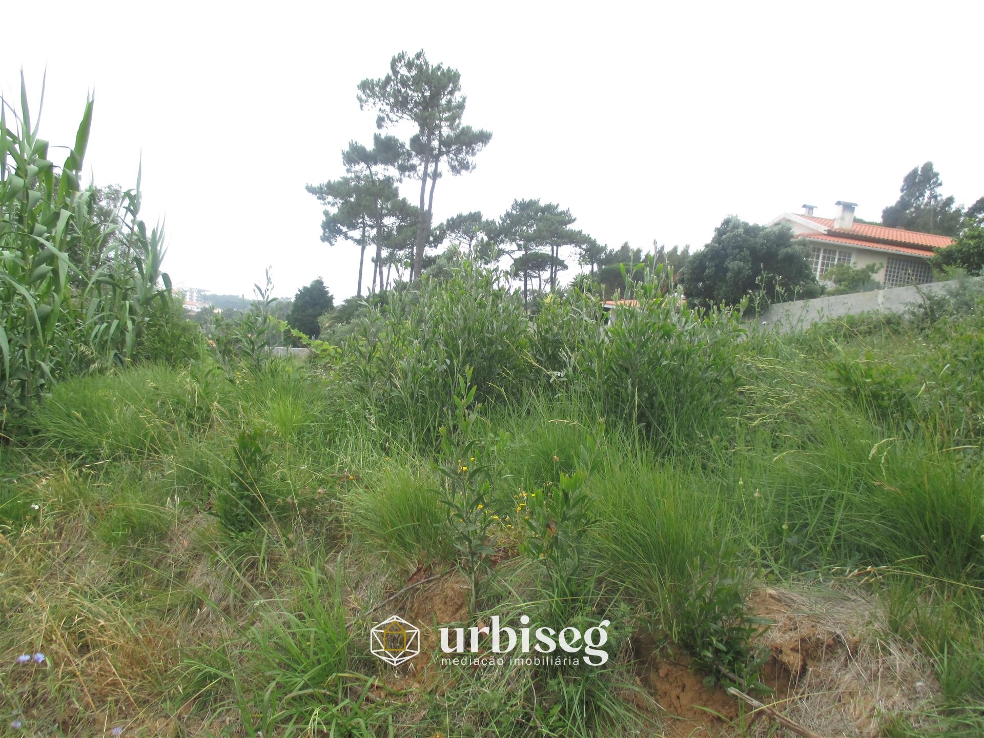 Moradia para Reconstrução com Vista Mar em Vais | Buarcos | 3300m²