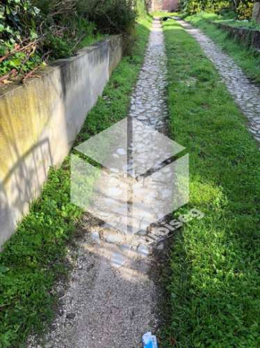 Casa/ Pequena Quinta T4