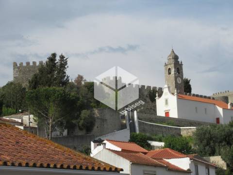 Zona histórica de Montemor/ Moradia Centenária